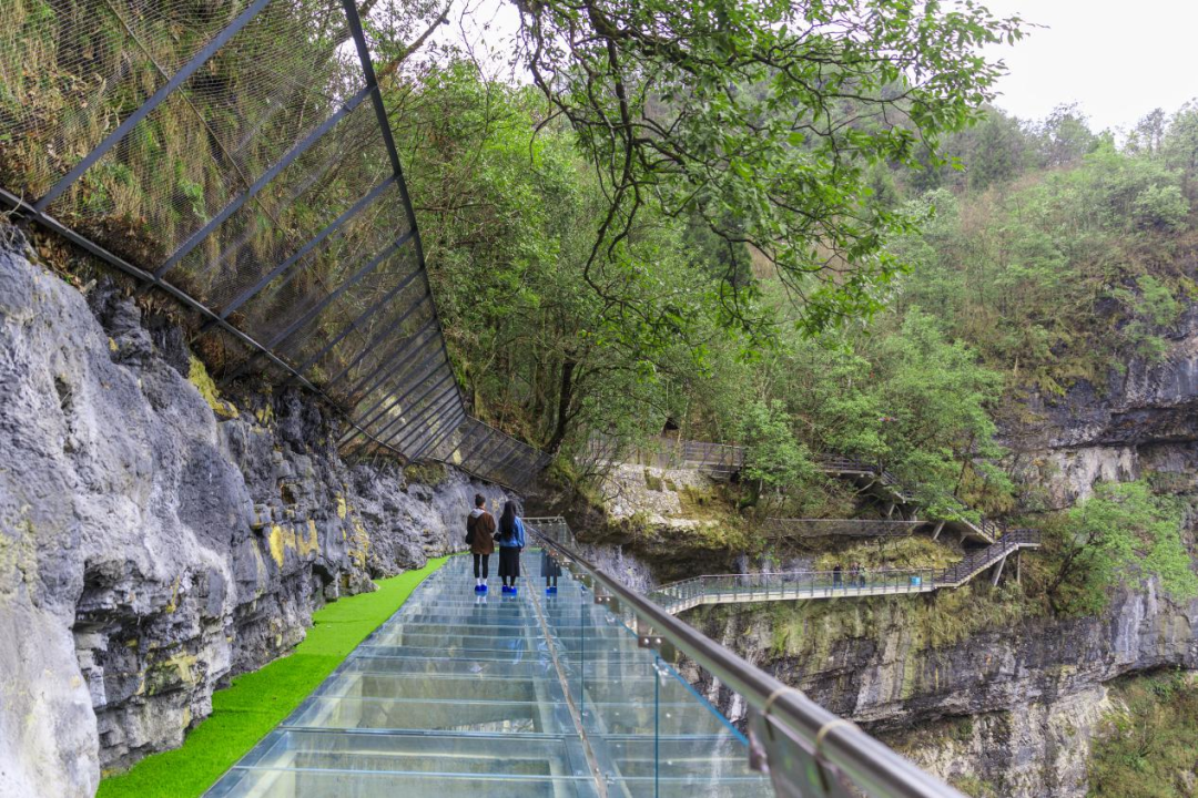 恩施坪坝营旅游攻略-湖北恩施坪坝营景区概况(图23) 湖北恩施坪坝营景区概况_恩施坪坝营视频_恩施坪坝营旅游攻略