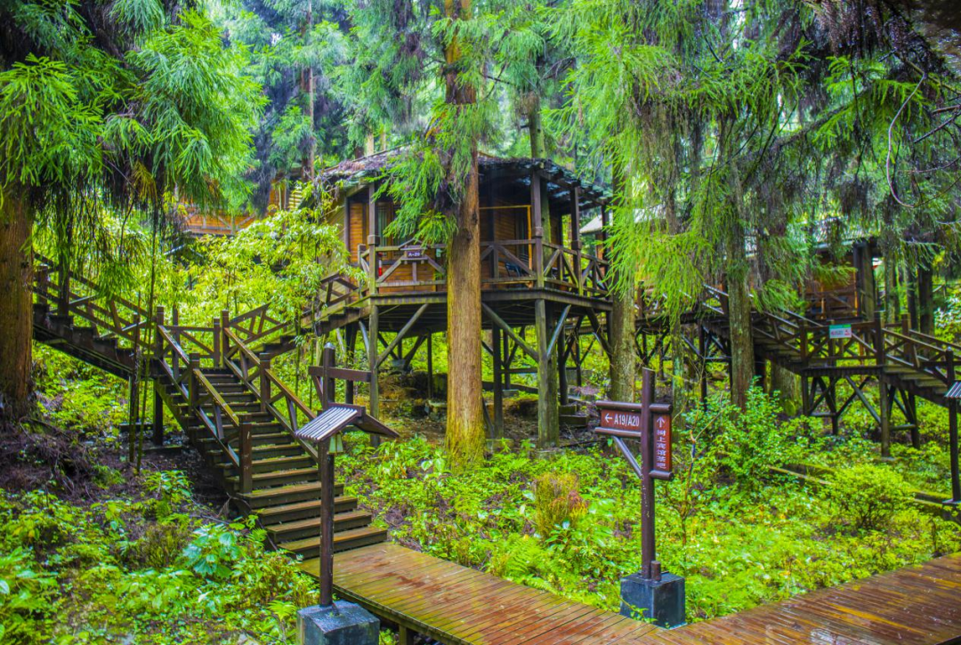 恩施坪坝营旅游攻略-湖北恩施坪坝营景区概况(图24) 恩施坪坝营视频_恩施坪坝营旅游攻略_湖北恩施坪坝营景区概况