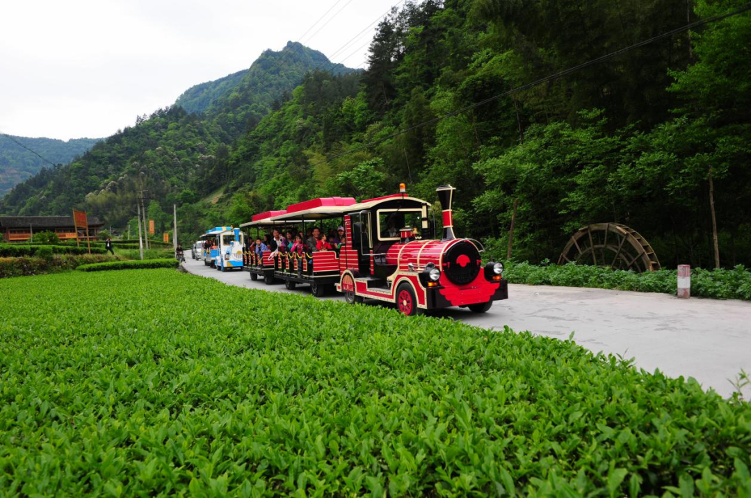 恩施坪坝营旅游攻略-湖北恩施坪坝营景区概况(图37) 恩施坪坝营视频_恩施坪坝营旅游攻略_湖北恩施坪坝营景区概况