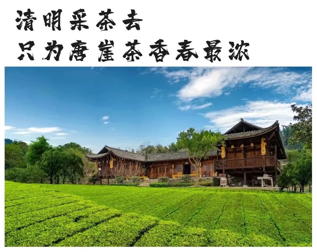 恩施坪坝营旅游攻略-湖北恩施坪坝营景区概况(图40) 湖北恩施坪坝营景区概况_恩施坪坝营旅游攻略_恩施坪坝营视频