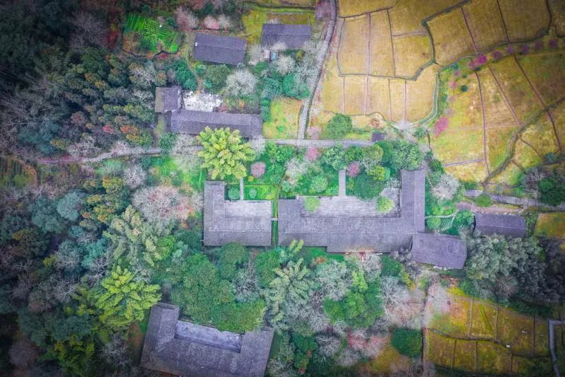 恩施坪坝营旅游攻略-湖北恩施坪坝营景区概况(图41) 湖北恩施坪坝营景区概况_恩施坪坝营旅游攻略_恩施坪坝营视频