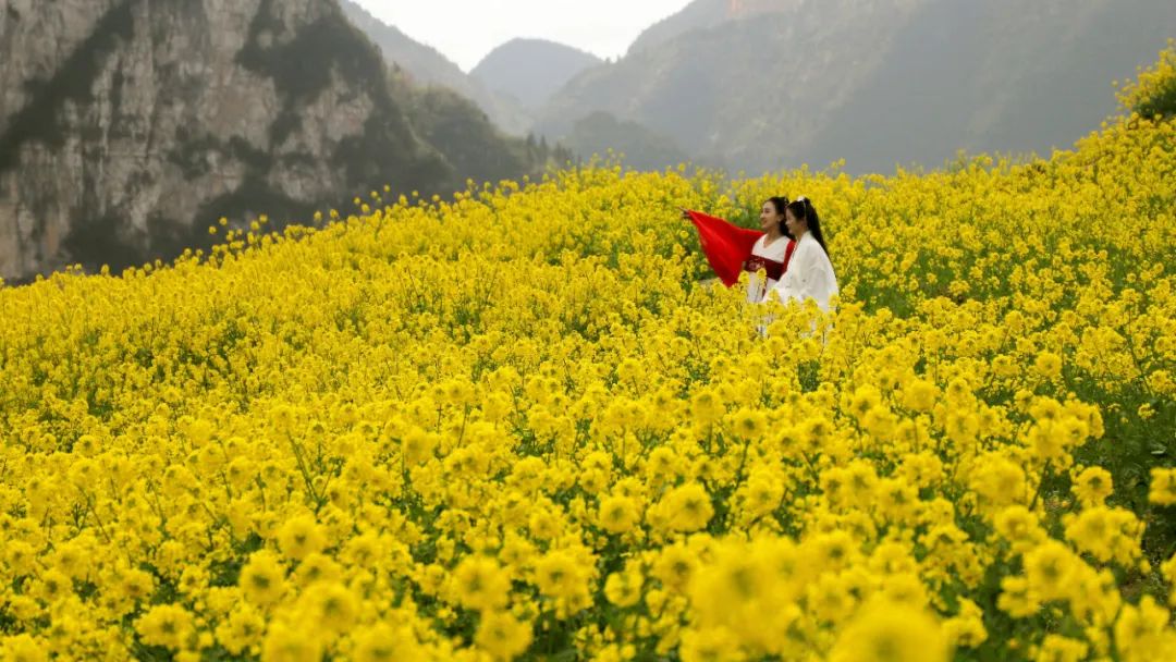 恩施坪坝营旅游攻略-湖北恩施坪坝营景区概况(图5) 恩施坪坝营视频_湖北恩施坪坝营景区概况_恩施坪坝营旅游攻略