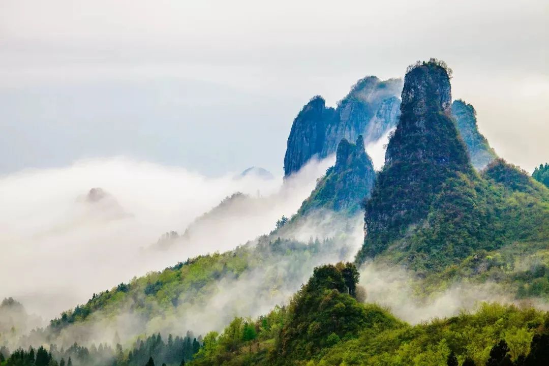 恩施坪坝营旅游攻略-湖北恩施坪坝营景区概况(图7) 湖北恩施坪坝营景区概况_恩施坪坝营视频_恩施坪坝营旅游攻略