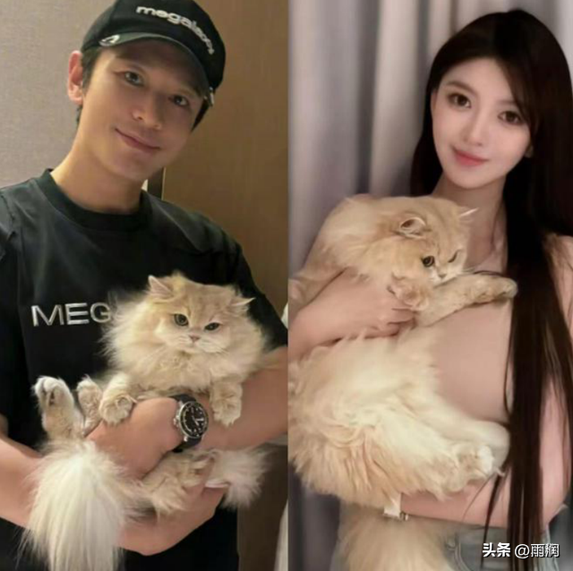 时尚的完成度是脸-时尚完成度全靠脸(图5) 时尚完成度全靠脸_时尚脸是什么样的_时尚的完成度是脸