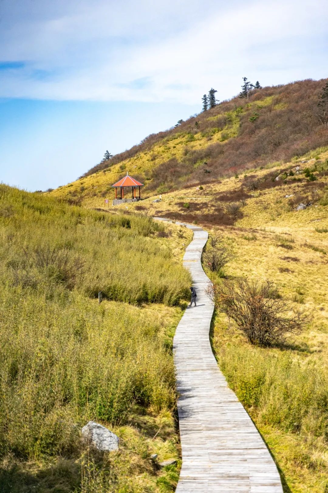留坝紫柏山旅游攻略_留坝紫柏山森林公园电话_留坝紫柏山国家森林公园旅游