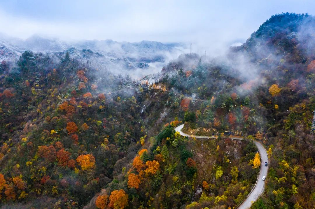 留坝紫柏山旅游攻略_留坝紫柏山国家森林公园旅游_留坝紫柏山森林公园电话