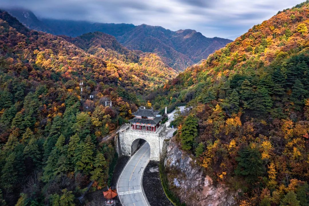 留坝紫柏山旅游攻略_留坝紫柏山森林公园电话_留坝紫柏山国家森林公园旅游