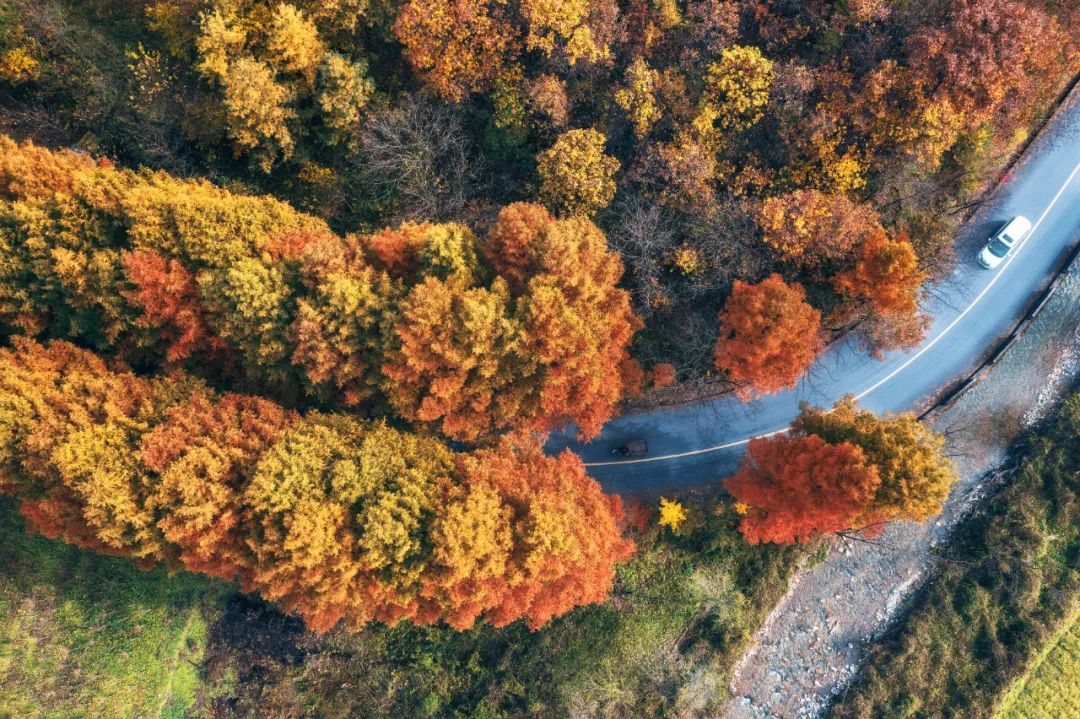 留坝紫柏山森林公园电话_留坝紫柏山旅游攻略_留坝紫柏山国家森林公园旅游