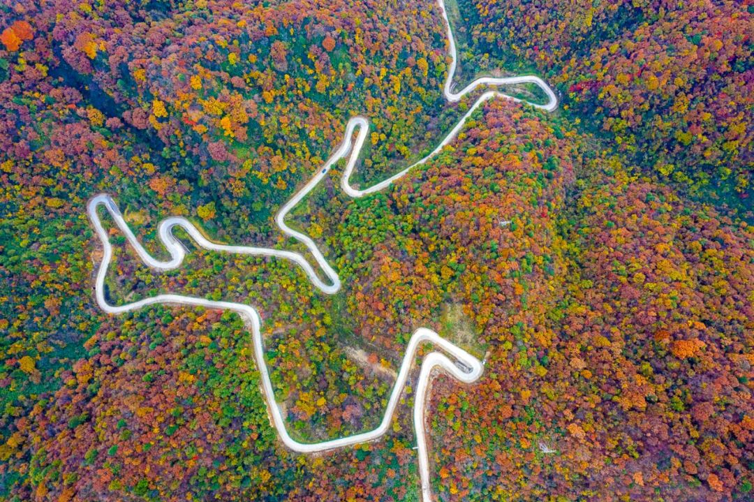 留坝紫柏山旅游攻略_留坝紫柏山森林公园电话_留坝紫柏山国家森林公园旅游