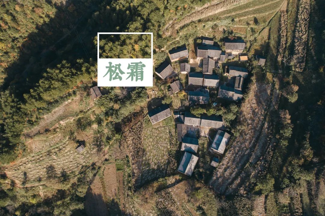 留坝紫柏山森林公园电话_留坝紫柏山国家森林公园旅游_留坝紫柏山旅游攻略