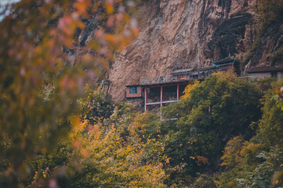 留坝紫柏山森林公园电话_留坝紫柏山旅游攻略_留坝紫柏山国家森林公园旅游