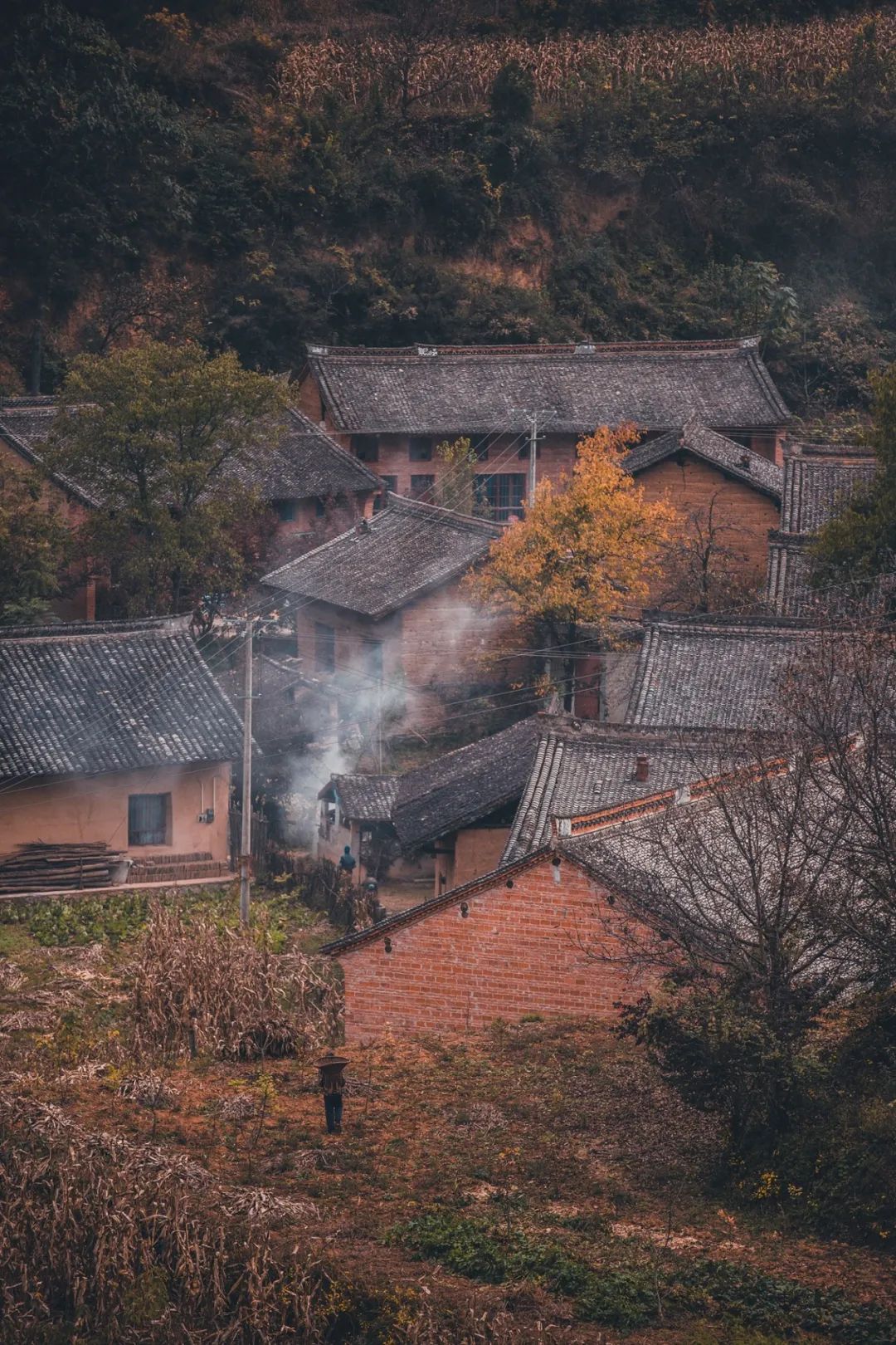 留坝紫柏山森林公园电话_留坝紫柏山国家森林公园旅游_留坝紫柏山旅游攻略