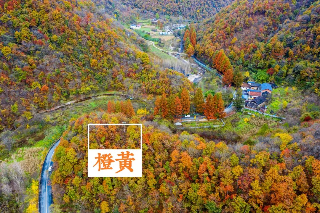 留坝紫柏山国家森林公园旅游_留坝紫柏山旅游攻略_留坝紫柏山森林公园电话