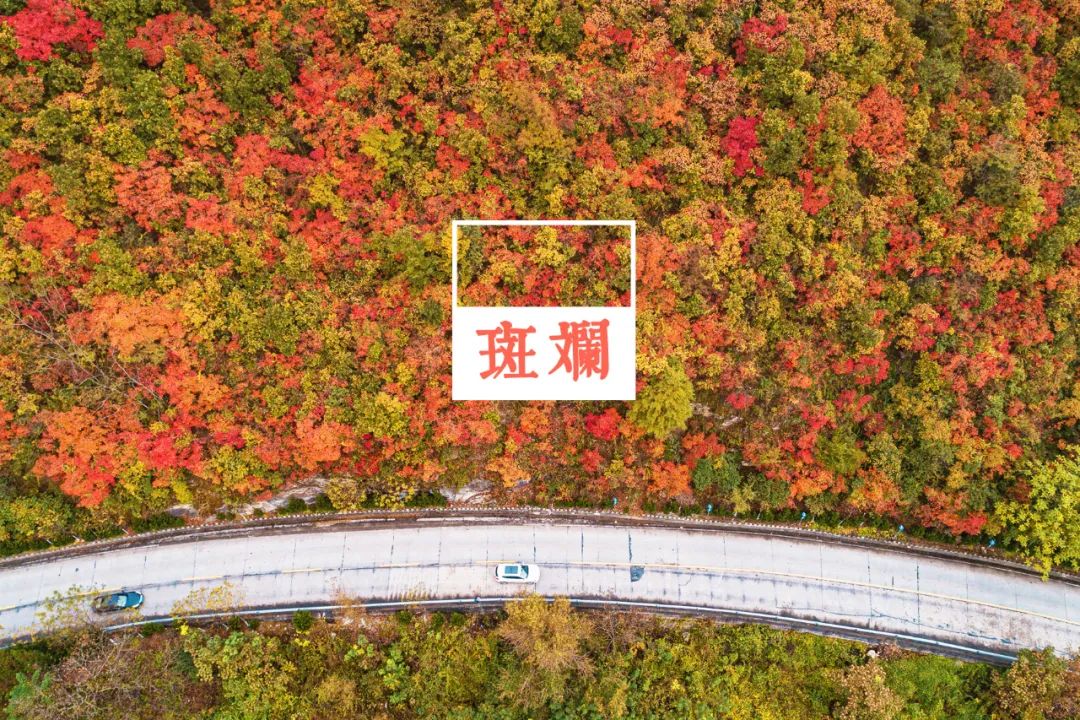 留坝紫柏山旅游攻略_留坝紫柏山国家森林公园旅游_留坝紫柏山森林公园电话