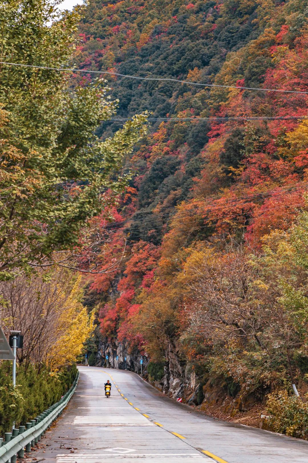留坝紫柏山旅游攻略_留坝紫柏山国家森林公园旅游_留坝紫柏山森林公园电话