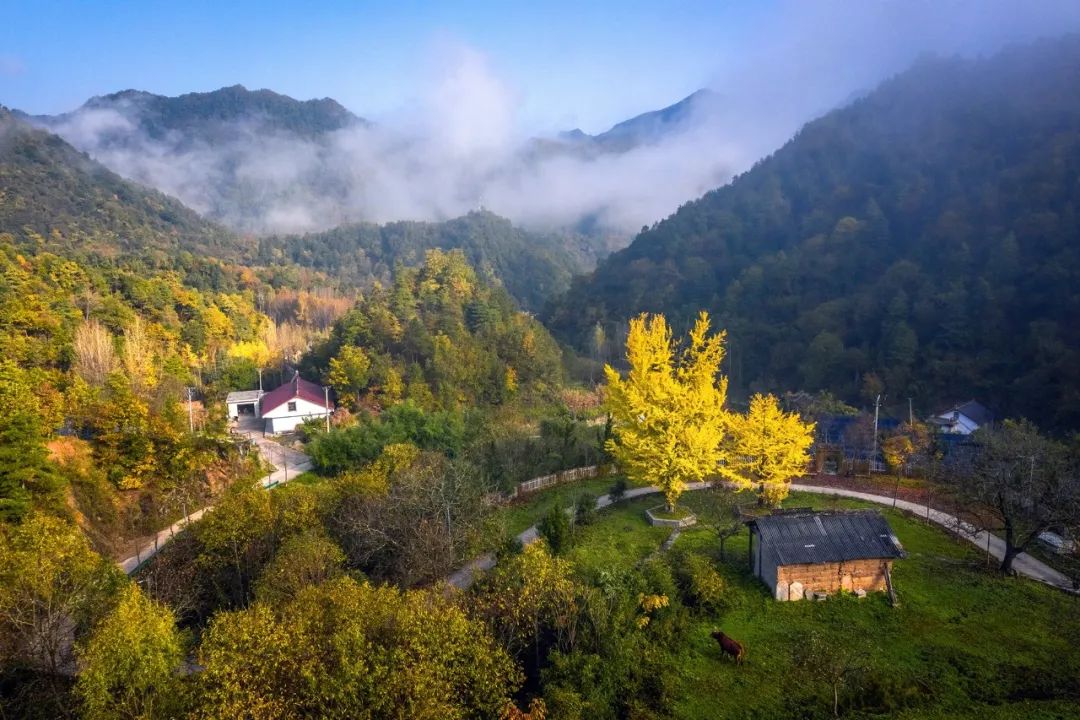 留坝紫柏山旅游攻略_留坝紫柏山国家森林公园旅游_留坝紫柏山森林公园电话