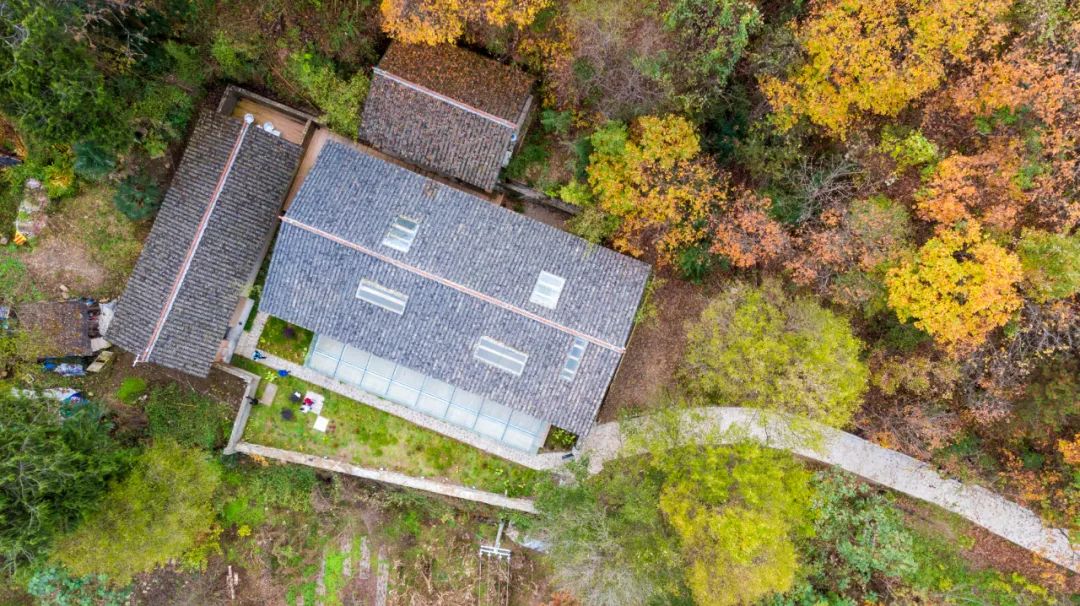 留坝紫柏山森林公园电话_留坝紫柏山国家森林公园旅游_留坝紫柏山旅游攻略