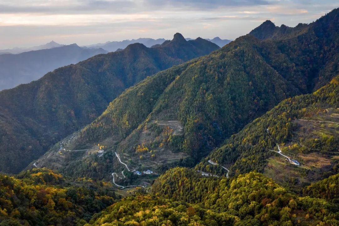 留坝紫柏山森林公园电话_留坝紫柏山国家森林公园旅游_留坝紫柏山旅游攻略