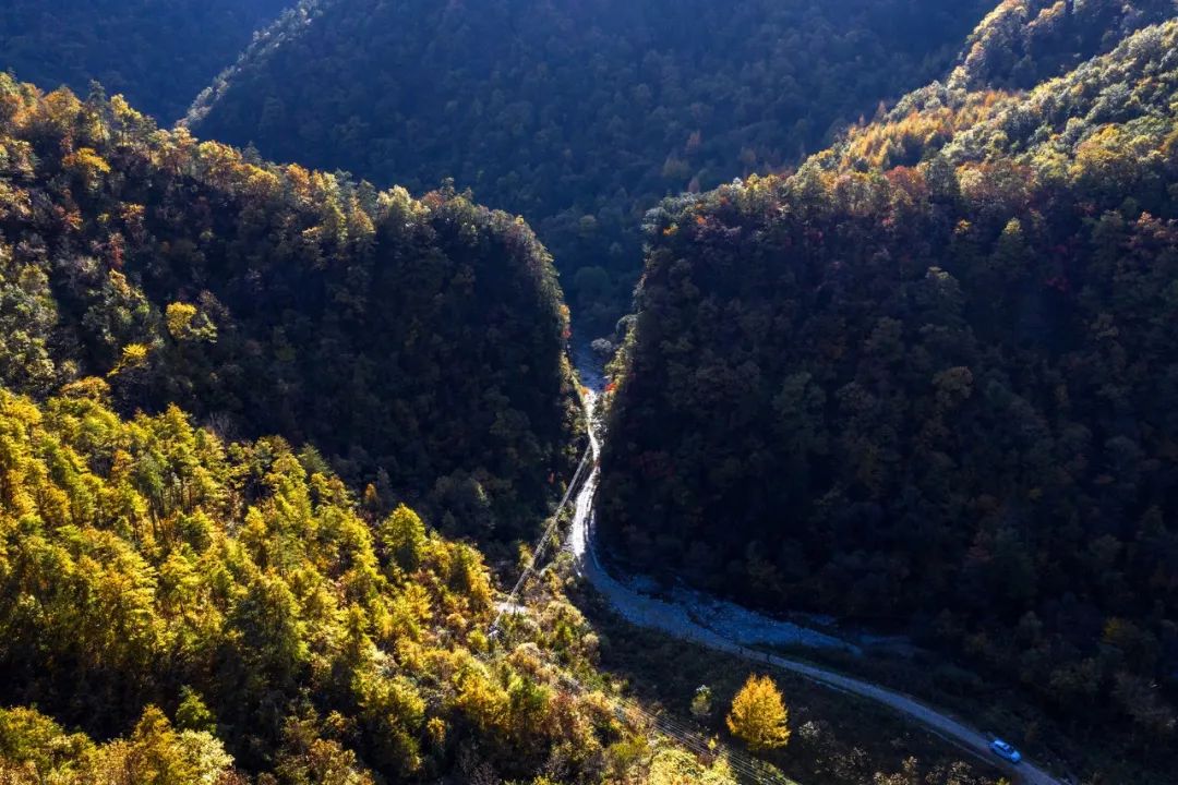 留坝紫柏山国家森林公园旅游_留坝紫柏山旅游攻略_留坝紫柏山森林公园电话