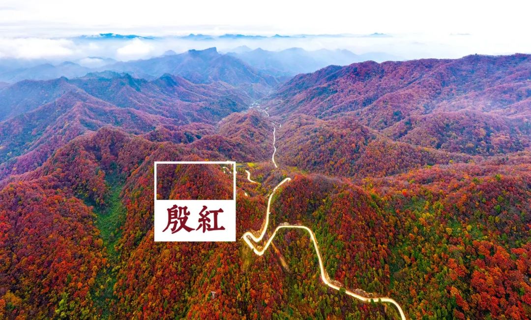 留坝紫柏山国家森林公园旅游_留坝紫柏山森林公园电话_留坝紫柏山旅游攻略