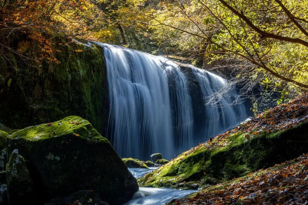 留坝紫柏山旅游攻略_留坝紫柏山国家森林公园旅游_留坝紫柏山森林公园电话