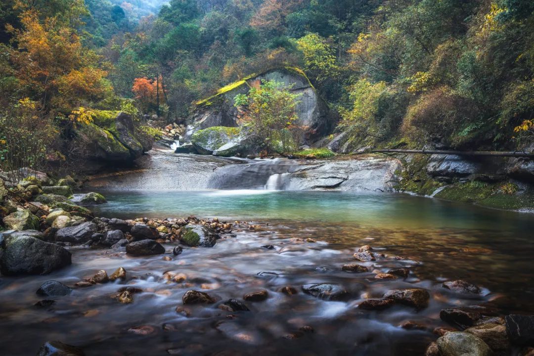 留坝紫柏山森林公园电话_留坝紫柏山旅游攻略_留坝紫柏山国家森林公园旅游