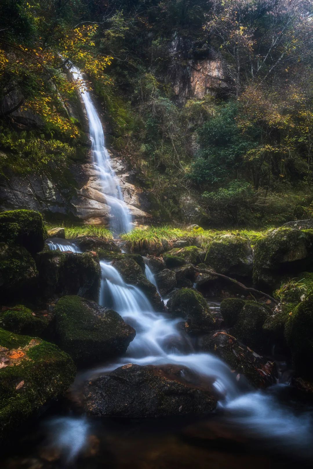 留坝紫柏山国家森林公园旅游_留坝紫柏山旅游攻略_留坝紫柏山森林公园电话