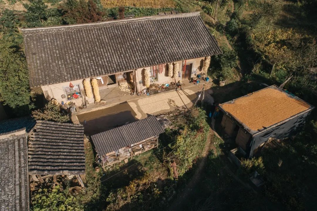 留坝紫柏山森林公园电话_留坝紫柏山国家森林公园旅游_留坝紫柏山旅游攻略