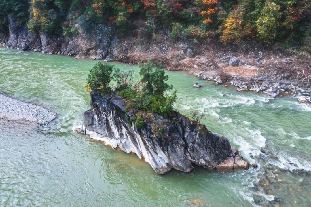 留坝紫柏山森林公园电话_留坝紫柏山国家森林公园旅游_留坝紫柏山旅游攻略