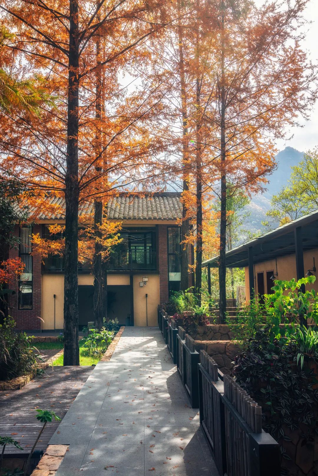 留坝紫柏山旅游攻略_留坝紫柏山国家森林公园旅游_留坝紫柏山森林公园电话