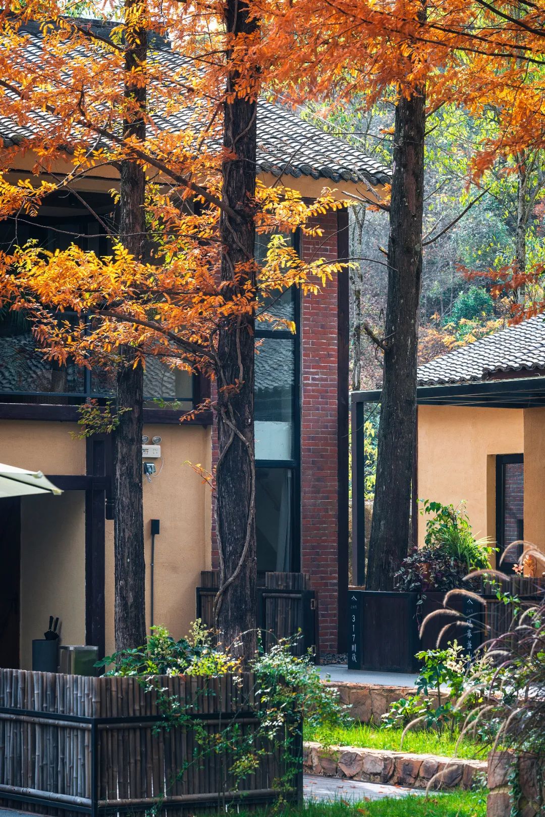 留坝紫柏山森林公园电话_留坝紫柏山国家森林公园旅游_留坝紫柏山旅游攻略