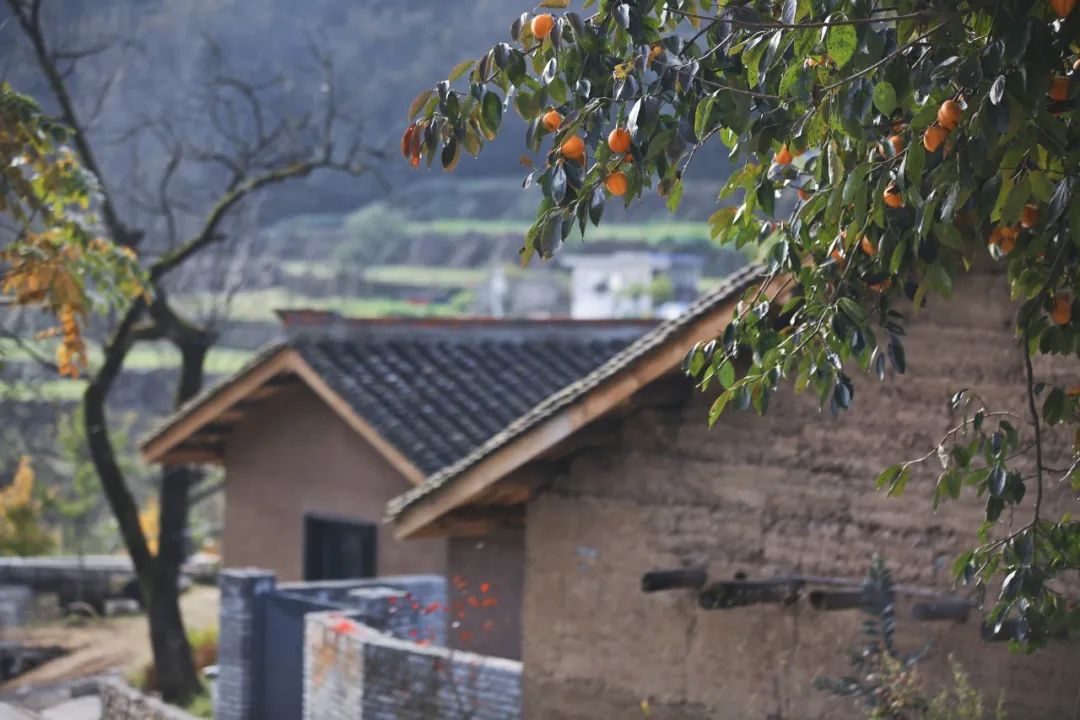 留坝紫柏山森林公园电话_留坝紫柏山国家森林公园旅游_留坝紫柏山旅游攻略