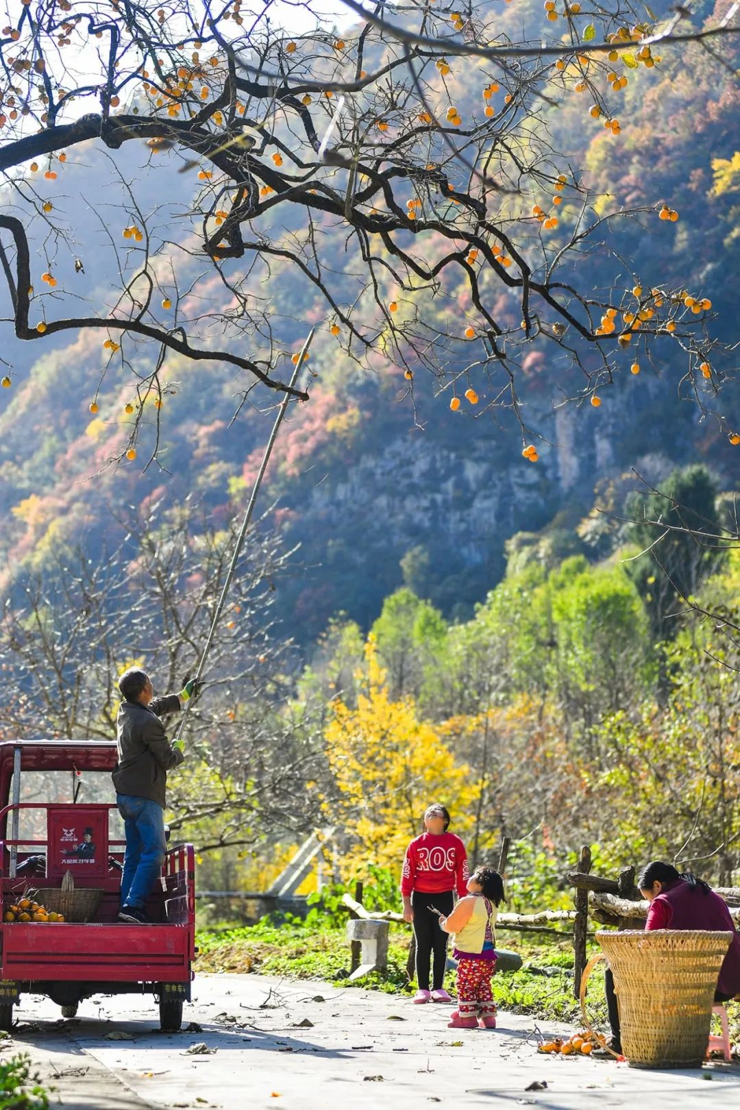留坝紫柏山旅游攻略_留坝紫柏山国家森林公园旅游_留坝紫柏山森林公园电话