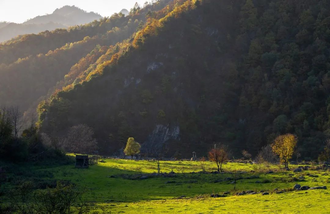 留坝紫柏山森林公园电话_留坝紫柏山旅游攻略_留坝紫柏山国家森林公园旅游