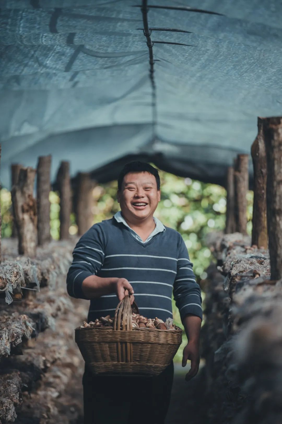 留坝紫柏山旅游攻略_留坝紫柏山国家森林公园旅游_留坝紫柏山森林公园电话