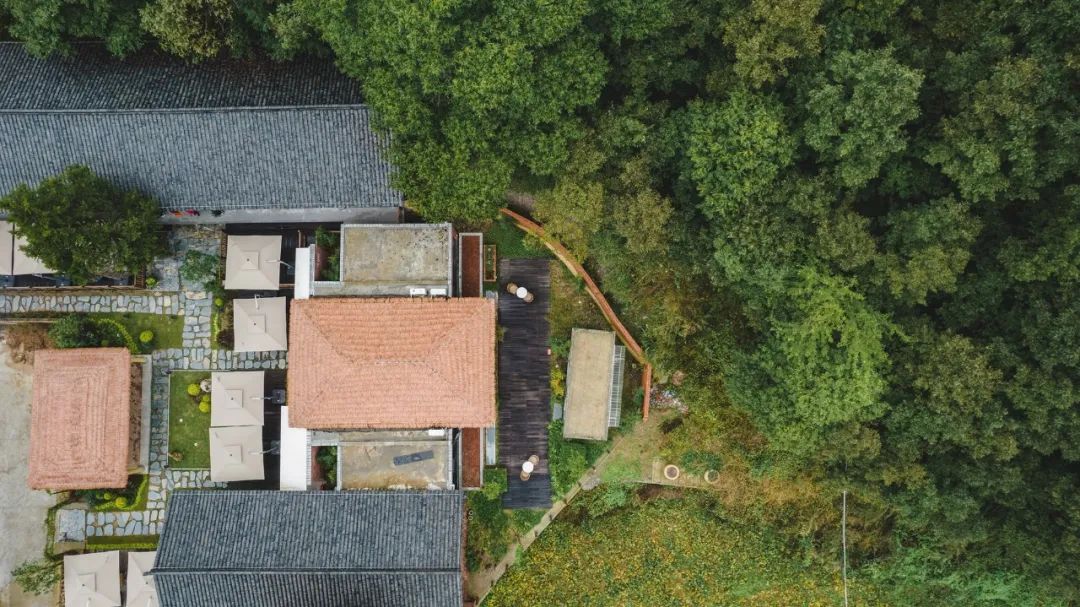 留坝紫柏山国家森林公园旅游_留坝紫柏山旅游攻略_留坝紫柏山森林公园电话