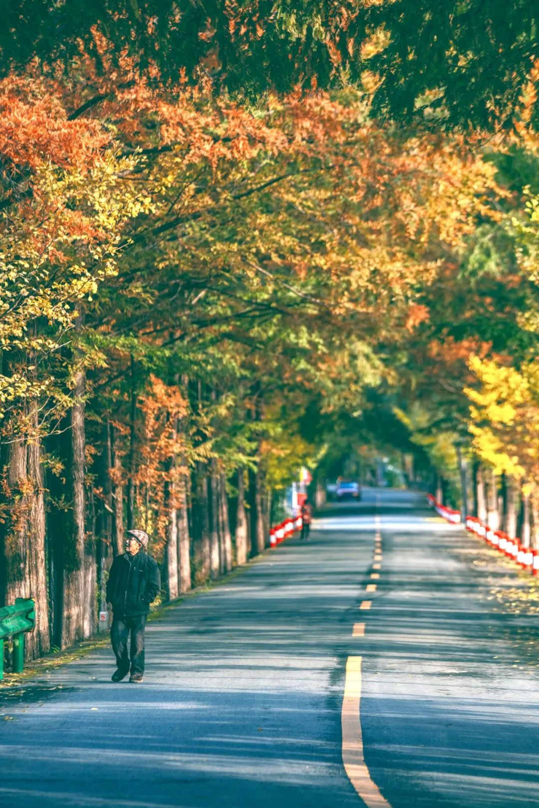 留坝紫柏山森林公园电话_留坝紫柏山旅游攻略_留坝紫柏山国家森林公园旅游