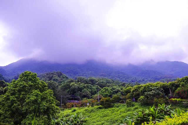 河源旅游攻略_攻略河源旅游路线_攻略河源旅游的地方