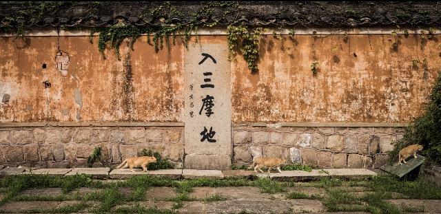 宁波台州旅游必去十大景点_五台山旅游攻略宁波_宁波台州有什么好玩的地方
