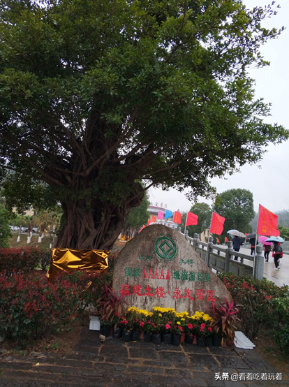 永定高北土楼旅游攻略_永定土楼自驾游_永定土楼旅游线路