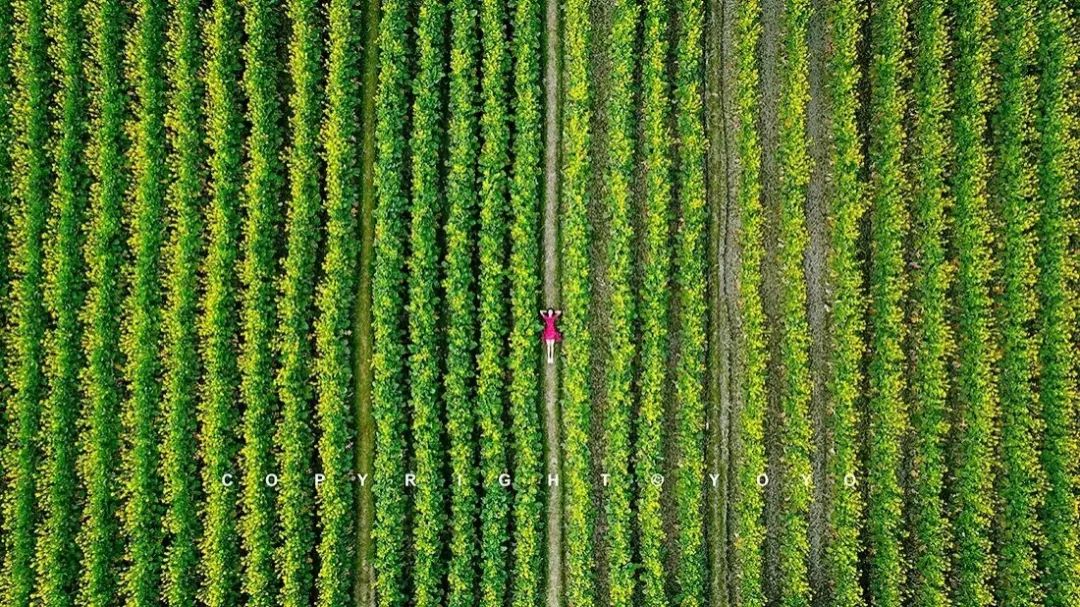 连城旅游攻略-连城景点攻略(图22) 连城旅游攻略_连城攻略旅游路线_连城景点攻略