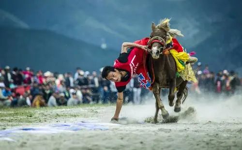 云南香格里拉旅游攻略 网-云南香格里拉攻略自助游攻略(图25) 云南香格里拉游玩攻略_云南香格里拉旅游攻略 网_云南香格里拉攻略自助游攻略