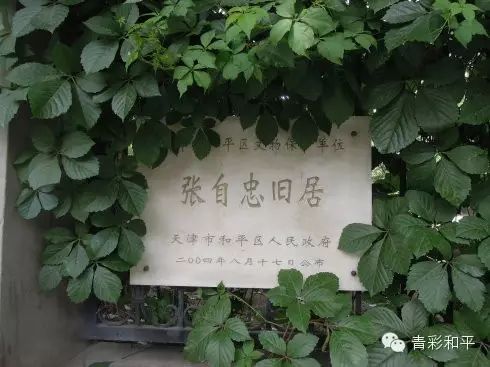 天津第五大道旅游攻略_天津大道起始点_天津大道全程多少公里