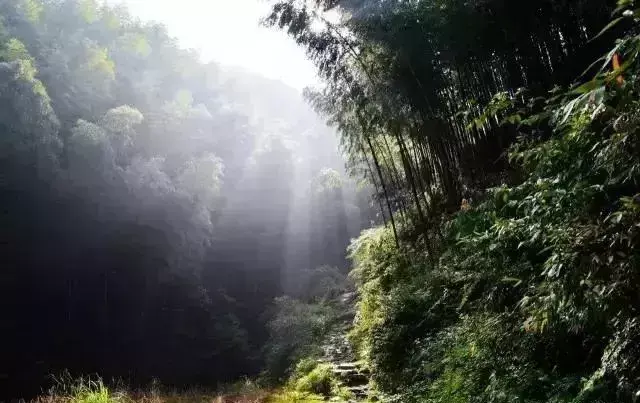 仙寓山民宿_仙寓山农家乐包吃住多少钱_仙寓山旅游攻略