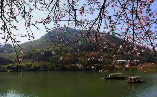仙寓山农家乐包吃住多少钱_仙寓山民宿_仙寓山旅游攻略
