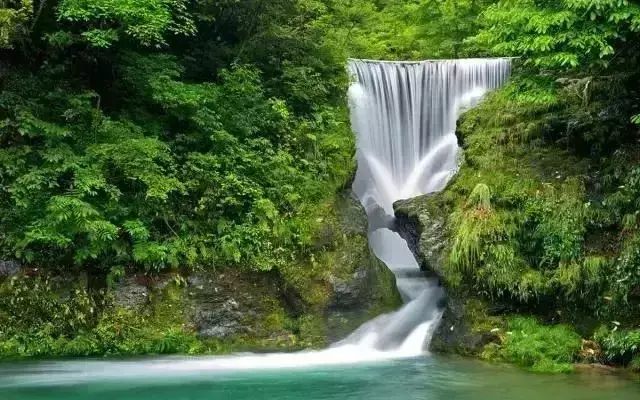 仙寓山旅游攻略_仙寓山农家乐包吃住多少钱_仙寓山民宿