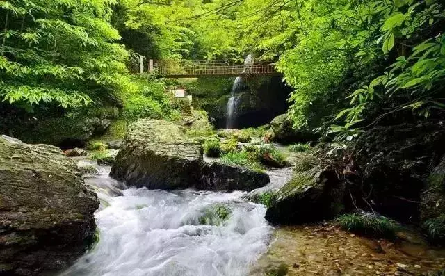 仙寓山旅游攻略_仙寓山农家乐包吃住多少钱_仙寓山民宿