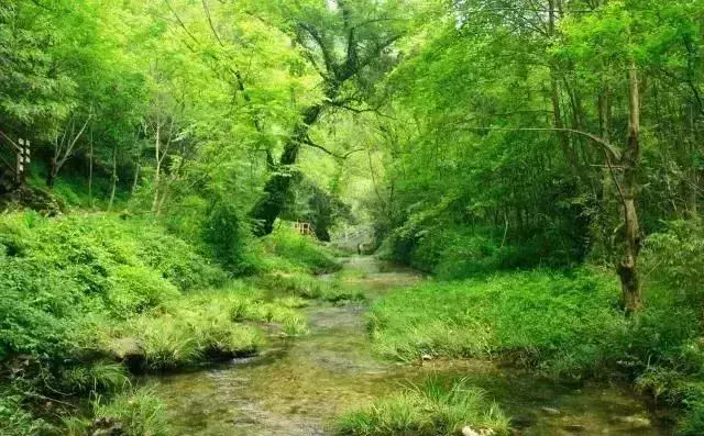 仙寓山农家乐包吃住多少钱_仙寓山旅游攻略_仙寓山民宿