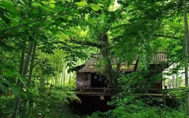 仙寓山旅游攻略_仙寓山民宿_仙寓山农家乐包吃住多少钱