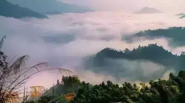 仙寓山民宿_仙寓山旅游攻略_仙寓山农家乐包吃住多少钱